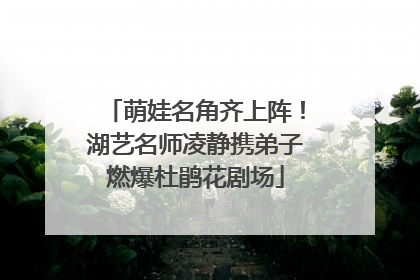 萌娃名角齐上阵！湖艺名师凌静携弟子燃爆杜鹃花剧场