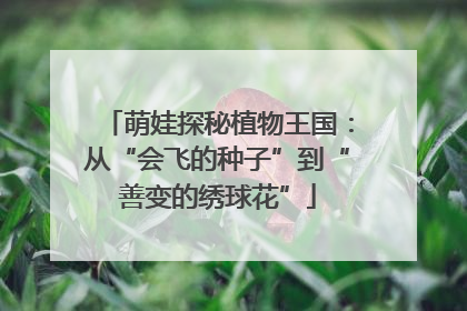 萌娃探秘植物王国：从“会飞的种子”到“善变的绣球花”