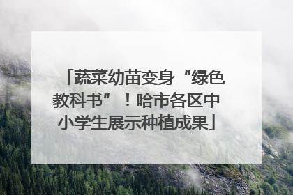 蔬菜幼苗变身“绿色教科书”！哈市各区中小学生展示种植成果