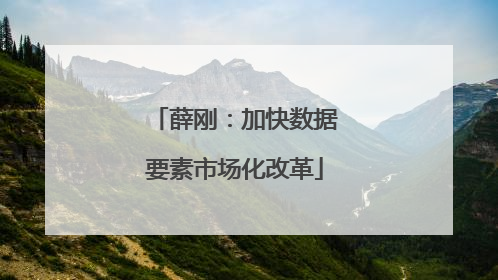 薛刚：加快数据要素市场化改革