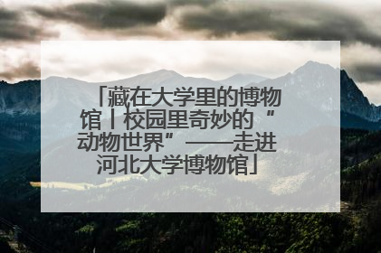 藏在大学里的博物馆丨校园里奇妙的“动物世界”——走进河北大学博物馆