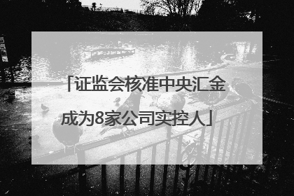 证监会核准中央汇金成为8家公司实控人