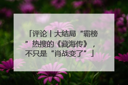 评论丨大结局“霸榜”热搜的《藏海传》，不只是“肖战变了”