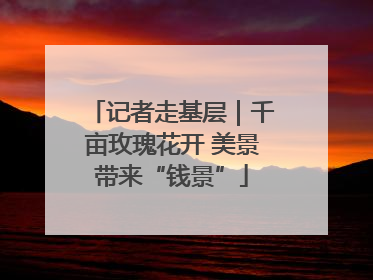 记者走基层｜千亩玫瑰花开 美景带来“钱景”