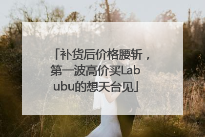 补货后价格腰斩，第一波高价买Labubu的想天台见
