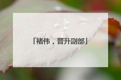 褚伟，晋升副部