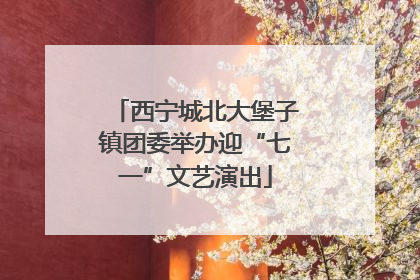 西宁城北大堡子镇团委举办迎“七一”文艺演出