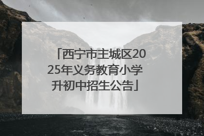 西宁市主城区2025年义务教育小学升初中招生公告