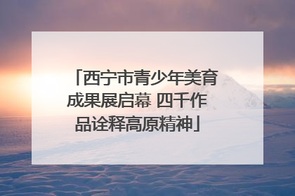 西宁市青少年美育成果展启幕 四千作品诠释高原精神