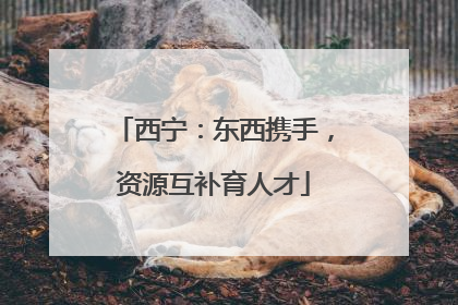 西宁：东西携手，资源互补育人才