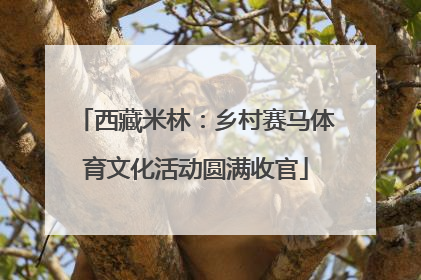 西藏米林：乡村赛马体育文化活动圆满收官
