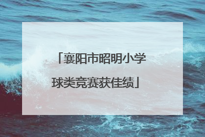 襄阳市昭明小学球类竞赛获佳绩