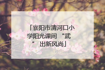 襄阳市清河口小学阳光课间 “武” 出新风尚