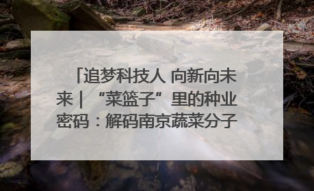 追梦科技人 向新向未来｜“菜篮子”里的种业密码：解码南京蔬菜分子育种的创新之路