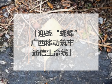 迎战“蝴蝶” 广西移动筑牢通信生命线