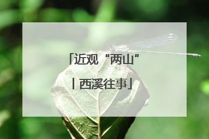 近观“两山”丨西溪往事