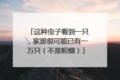 这种虫子看到一只，家里很可能已有一万只（不是蟑螂）