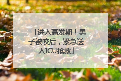 进入高发期！男子被咬后，紧急送入ICU抢救