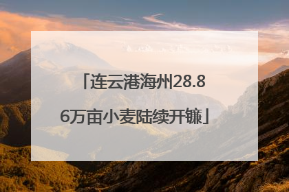 连云港海州28.86万亩小麦陆续开镰