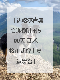 达喀尔青奥会迎倒计时500天 武术将正式登上奥运舞台
