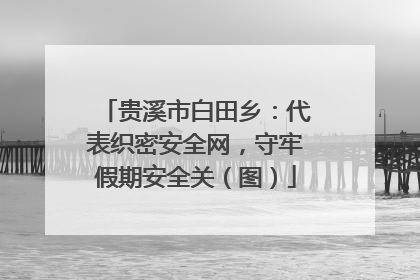贵溪市白田乡：代表织密安全网，守牢假期安全关（图）