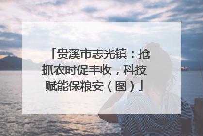 贵溪市志光镇：抢抓农时促丰收，科技赋能保粮安（图）