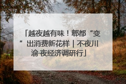 越夜越有味！郫都“变”出消费新花样｜不夜川渝·夜经济调研行