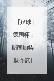 足球｜德国杯：斯图加特队夺冠