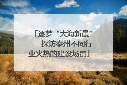 逐梦“大海新晨”——探访泰州不同行业火热的建设场景