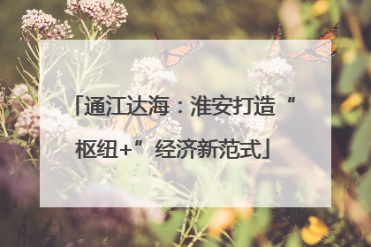 通江达海：淮安打造“枢纽+”经济新范式