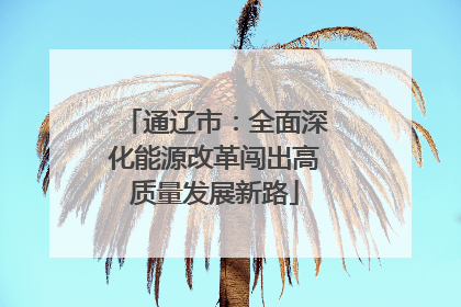 通辽市：全面深化能源改革闯出高质量发展新路
