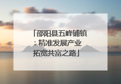 邵阳县五峰铺镇：精准发展产业 拓宽共富之路