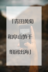 青田黄菊和阜山笋干组团出海