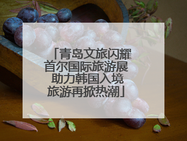 青岛文旅闪耀首尔国际旅游展 助力韩国入境旅游再掀热潮