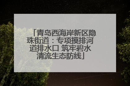 青岛西海岸新区隐珠街道：专项摸排河道排水口 筑牢碧水清流生态防线