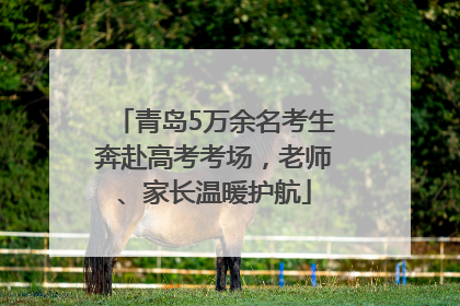 青岛5万余名考生奔赴高考考场，老师、家长温暖护航
