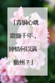 青铜心跳震颤千年，钟情何以满随州？