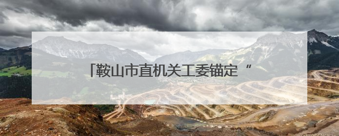 鞍山市直机关工委锚定“五个聚焦”抓党建促振兴