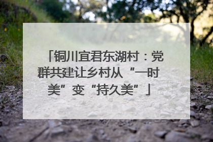 铜川宜君东湖村：党群共建让乡村从“一时美”变“持久美”