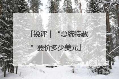 锐评｜“总统特赦”要价多少美元
