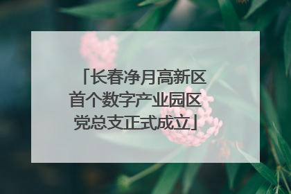 长春净月高新区首个数字产业园区党总支正式成立