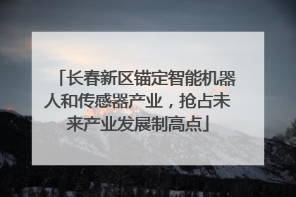 长春新区锚定智能机器人和传感器产业，抢占未来产业发展制高点