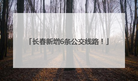 长春新增6条公交线路！
