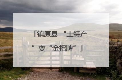 镇原县 “土特产”变“金招牌”