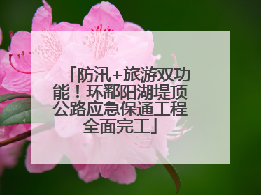 防汛+旅游双功能！环鄱阳湖堤顶公路应急保通工程全面完工