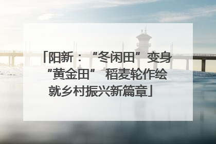 阳新：“冬闲田”变身“黄金田” 稻麦轮作绘就乡村振兴新篇章