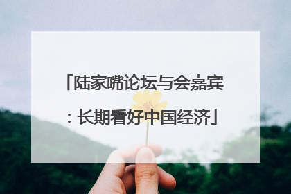陆家嘴论坛与会嘉宾：长期看好中国经济