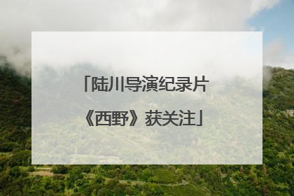 陆川导演纪录片《西野》获关注