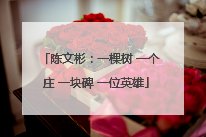 陈文彬：一棵树 一个庄 一块碑 一位英雄
