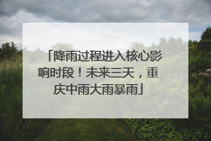 降雨过程进入核心影响时段！未来三天，重庆中雨大雨暴雨